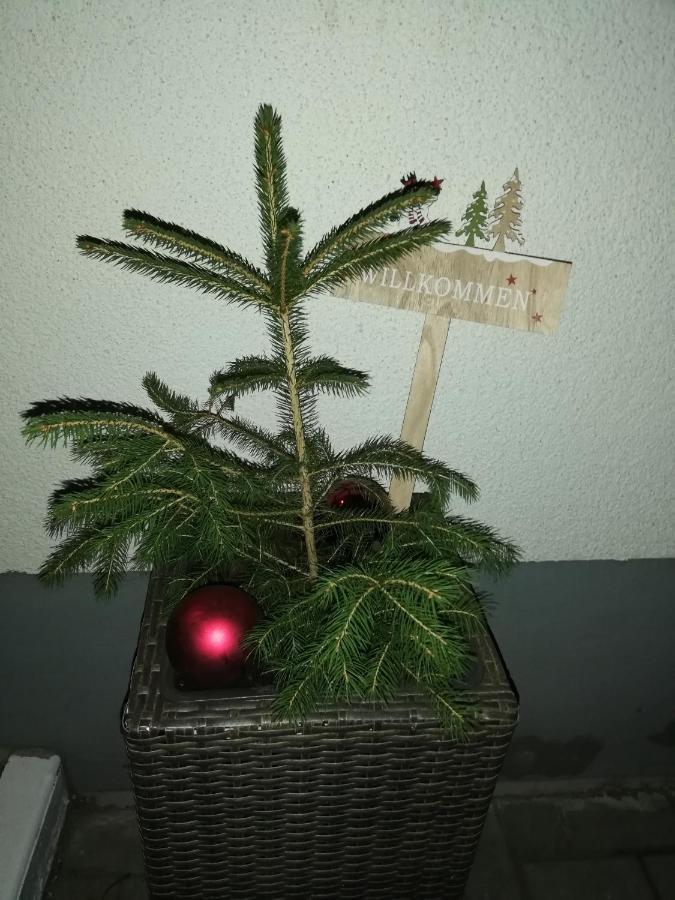 Pension Winter Mucheln Buitenkant foto